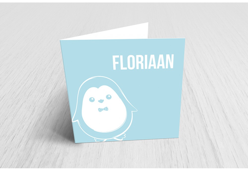 Kleine lieve pinguïn Kleine lieve pinguïn